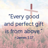 Cross and pink floral background with the words "Every good and perfect gift is from above - James1:17" over the image